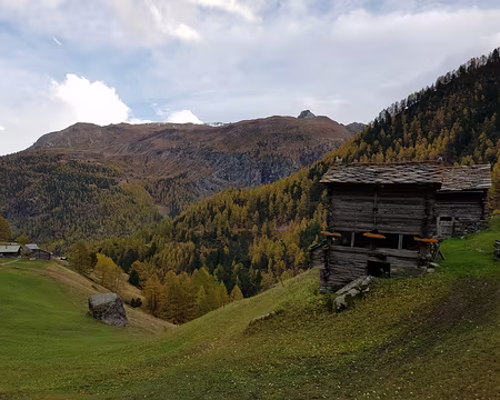 20191022_172307 Zmutt