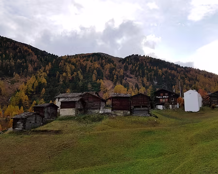 20191022_172407 Zmutt