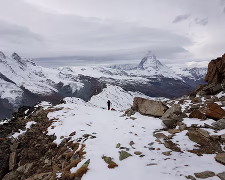 20191023_131827 Cervin