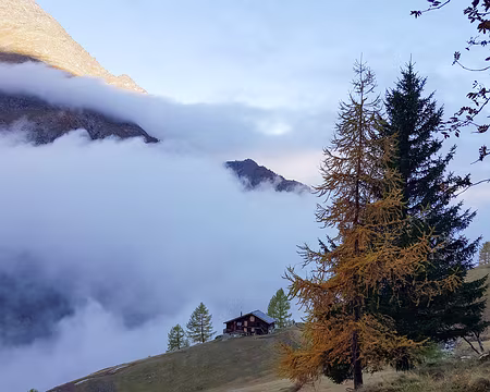 20191025_092547 Chüebodmen