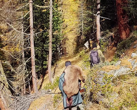 20191025_130904 Tableau de chasse