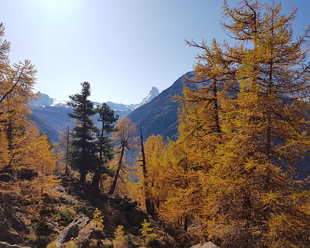 20191025_141548 Un bout de Cervin !