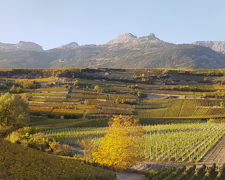 20191025_172305 En train vers Montreux, vignobles du Valais