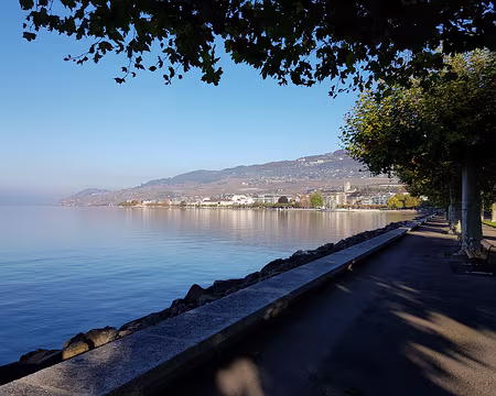 20191026_094515 Vevey