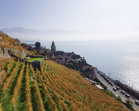 20191026_120950 Saint-Saphorin