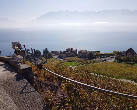 20191026_125949 Crémaillère conçue pour les vignes en pente