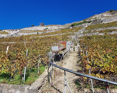 20191026_132553 Crémaillère conçue pour les vignes en pente