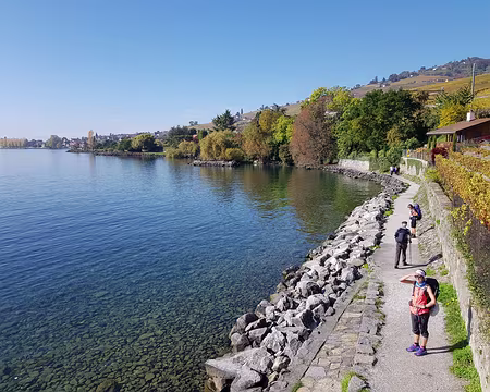 20191026_140345 Près de Cully.