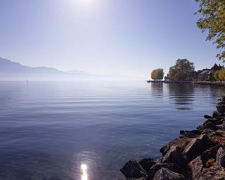 20191026_150544 Cully