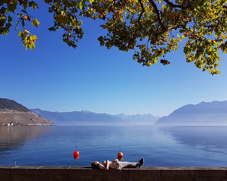 20191026_151003 Zénitude suisse (position allongée)