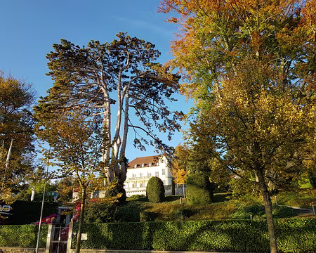 20191026_172945 Fédération du volley-ball à Lausanne