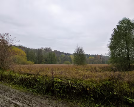 P1120226 Marais de Stors