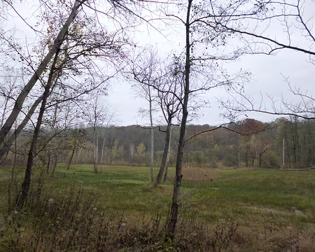 P1120229 Marais de Stors