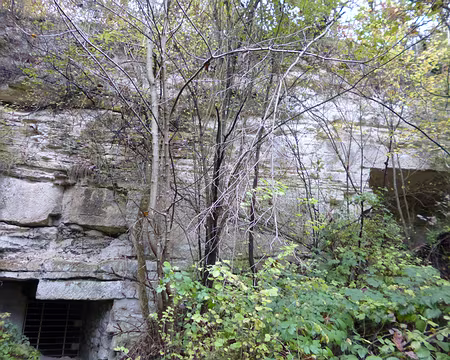 P1120231 Anciennes carrières de calcaire grossier de Stors, puis champignonnières jusque dans les années 1980