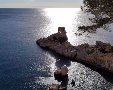 2019_11_30-11_51_54 Le Torpilleur