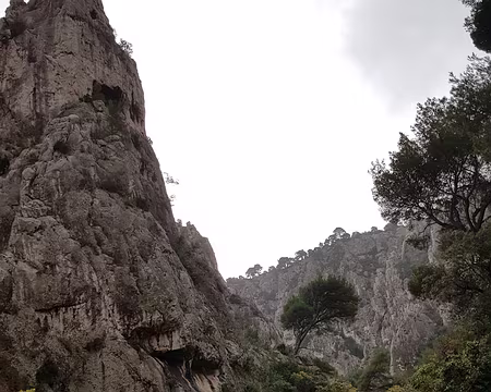 2019_12_01-09_02_36 Descente vers la calanque d'En-Vau