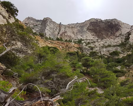 2019_12_01-13_14_31 Terrain très éboulé