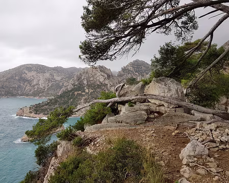 2019_12_01-13_40_35 Terrasse de notre pique-nique