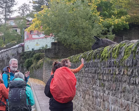 3769 rencontre avec un Lama