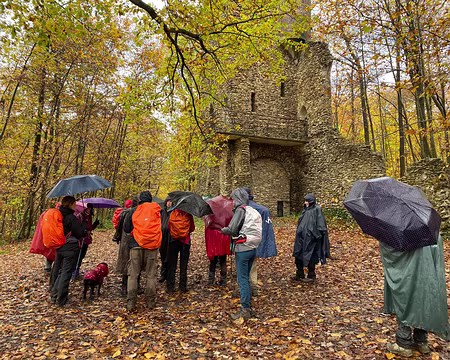 IMG_8761 Et nous avons trouvé la Tour du Plumet