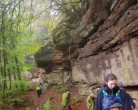 20191101_113215 La situation est humide mais pas désespérée !