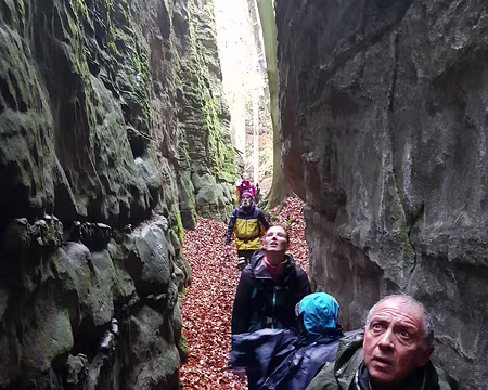 20191101_115229 Quand verrons-nous le bout du tunnel ?