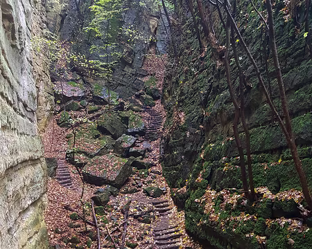 20191102_094753 La Gorge au Loup