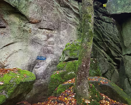 20191102_103412 Entrée d'un labyrinthe