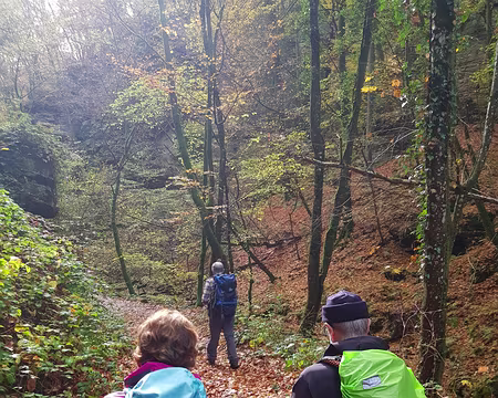 20191102_120829 Rayon de soleil