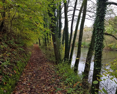 20191102_134707 Au bord de la Sûre