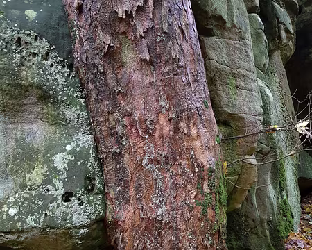 20191102_144112 Incrustation