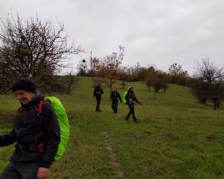 20191102_161453 Descente en slalom