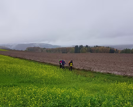 20191103_100412 Enfin un peu de champs !