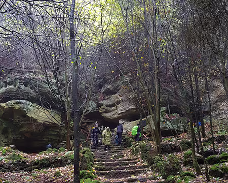 20191103_105253 Des résistants se sont abrités là