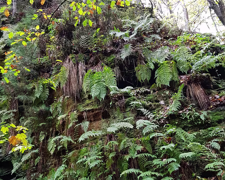 20191103_151930 Fougères