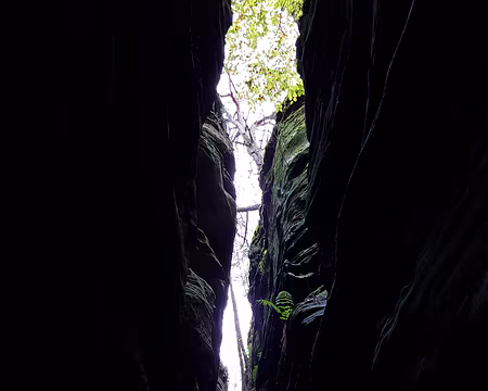 20191103_152151 Faille