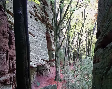 20191103_160151 Banc