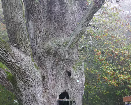 P1070114 Mullerthal Trail