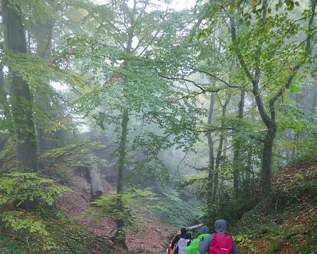 P1070115 Mullertahl Trail