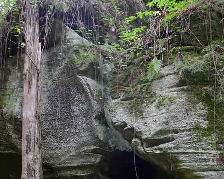 P1070223 Mullertahl Trail