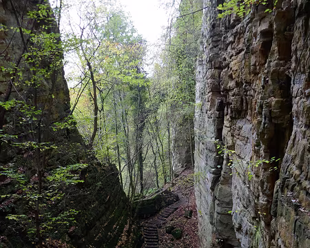 P1070230 Mullertahl Trail