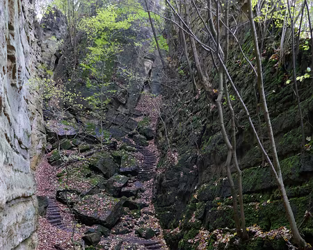 P1070236 Mullertahl Trail