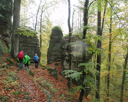 PB011672 vallée du Härdbaach entre Altrier et Müllerthal