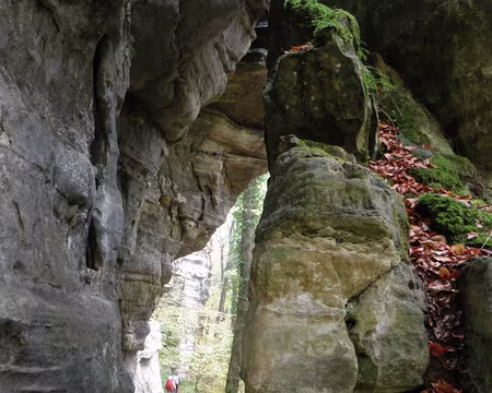 PB011675 vallée du Härdbaach entre Altrier et Müllerthal