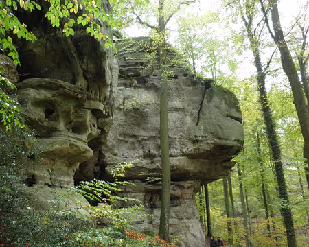 PB011676 vallée du Härdbaach entre Altrier et Müllerthal