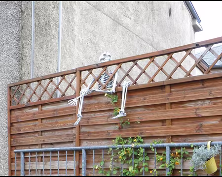 PB021678-1 à Waldbillig