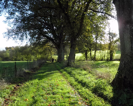 PB021682 entre Waldbillig et Müllerthal