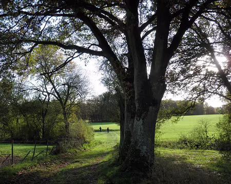 PB021684 entre Waldbillig et Müllerthal