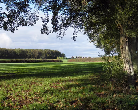 PB021685 entre Waldbillig et Müllerthal