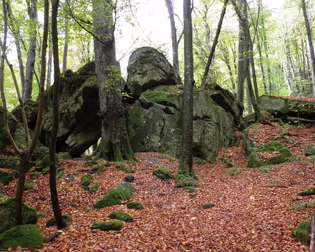 PB021690 entre Müllerthal et Berdorf